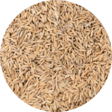 grain